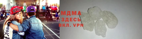 прущие грибы Гусиноозёрск