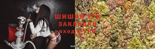 прущие грибы Гусиноозёрск
