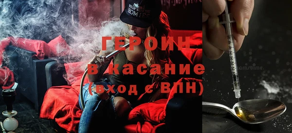 прущие грибы Гусиноозёрск