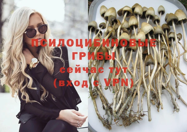 метамфетамин Гусь-Хрустальный