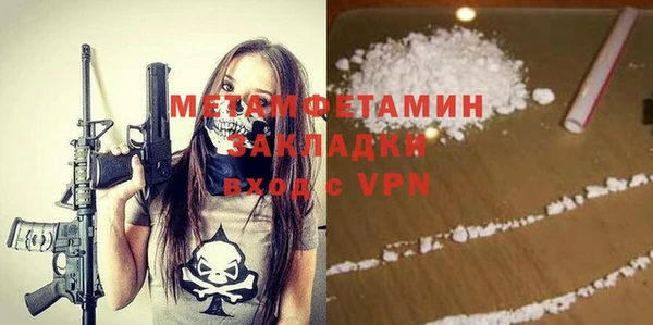 прущие грибы Гусиноозёрск
