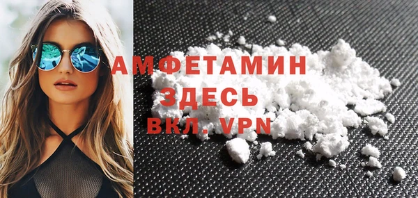прущие грибы Гусиноозёрск