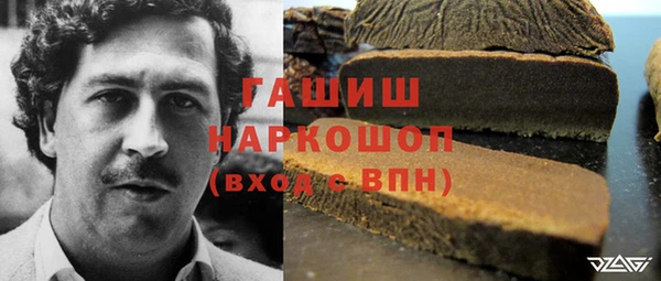 прущие грибы Гусиноозёрск