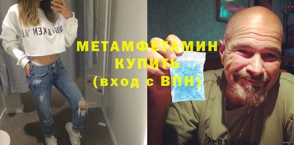 прущие грибы Гусиноозёрск