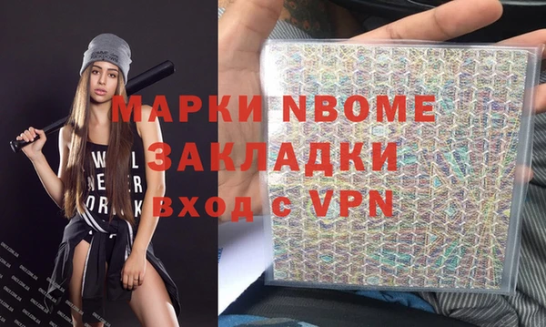 прущие грибы Гусиноозёрск