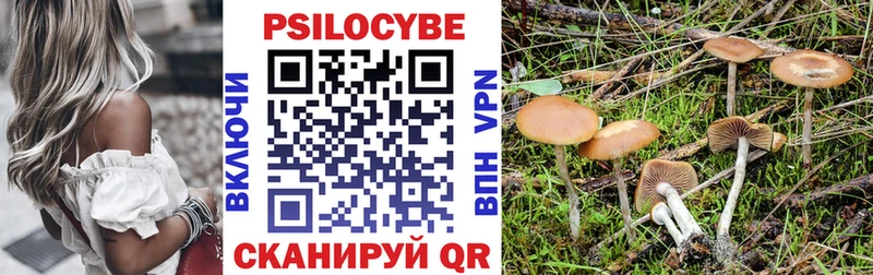 Галлюциногенные грибы Magic Shrooms Купить Алушта