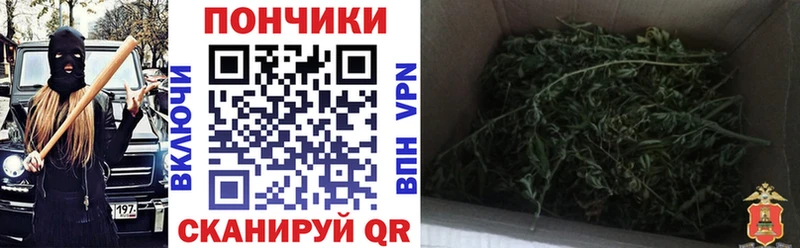 Конопля SATIVA & INDICA  Купить где  Алушта 